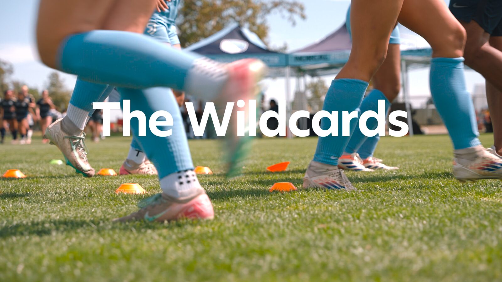The Wildcards title card